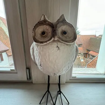 La Maison De L'ours - Avec Patio & Garage - 8 Personnes Dambach