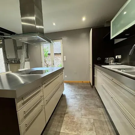 La Maison De L'ours - Avec Patio & Garage - 8 Personnes * Dambach-la-Ville