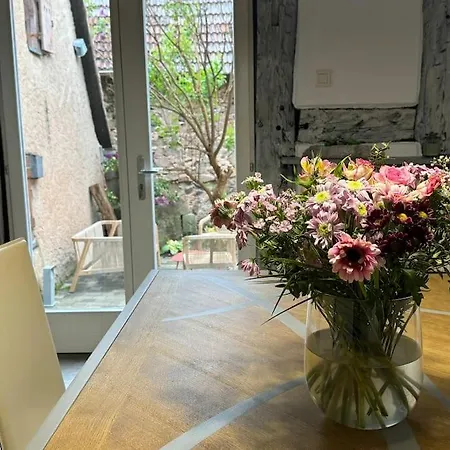 La Maison De L'ours - Avec Patio & Garage - 8 Personnes *